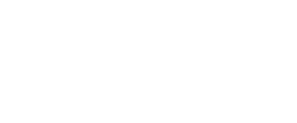 Financial Modeling (Financing Rounds) for a Global Events and SaaS Business