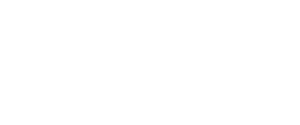 Fractional CFO for a Boston Area Fast Casual Restaurant Chain
