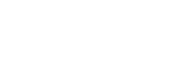 Fractional CFO for a  Global Shipping and Logistics Firm